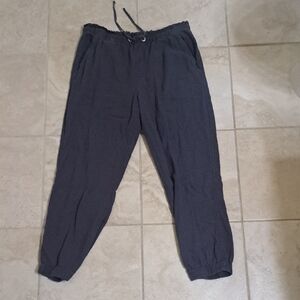 Social Standard By Sanctuary Women's Joggers, Blue, Size LARGE, $108.00 Value